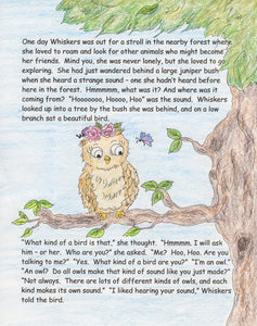 The Forest's Owl Surprise!