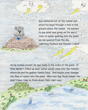 Load image into Gallery viewer, Gopher Gus&#39;s Pond Repair