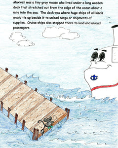 Maxwell Mouse's Cruise